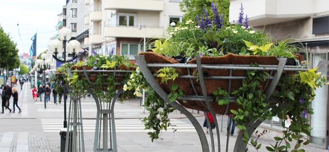 Blompedistalerna.